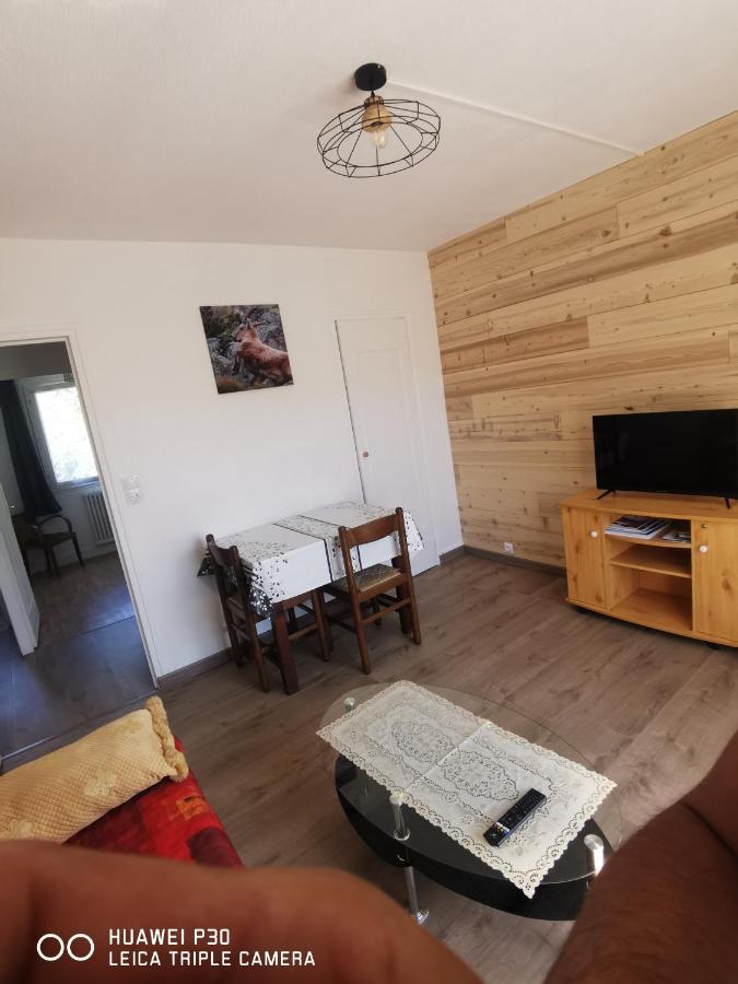 Апартаменти T2 Cosy Proche Des Pistes Бріансон Екстер'єр фото